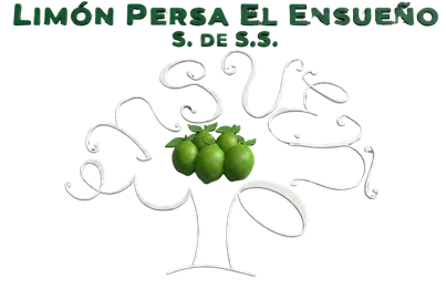 Limón Persa El Ensueño